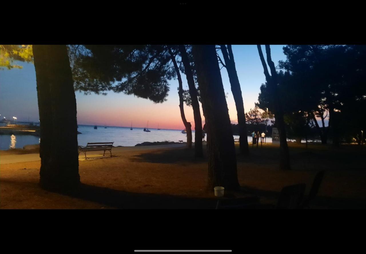 Apartman Sija Novigrad Novigrad Istria エクステリア 写真