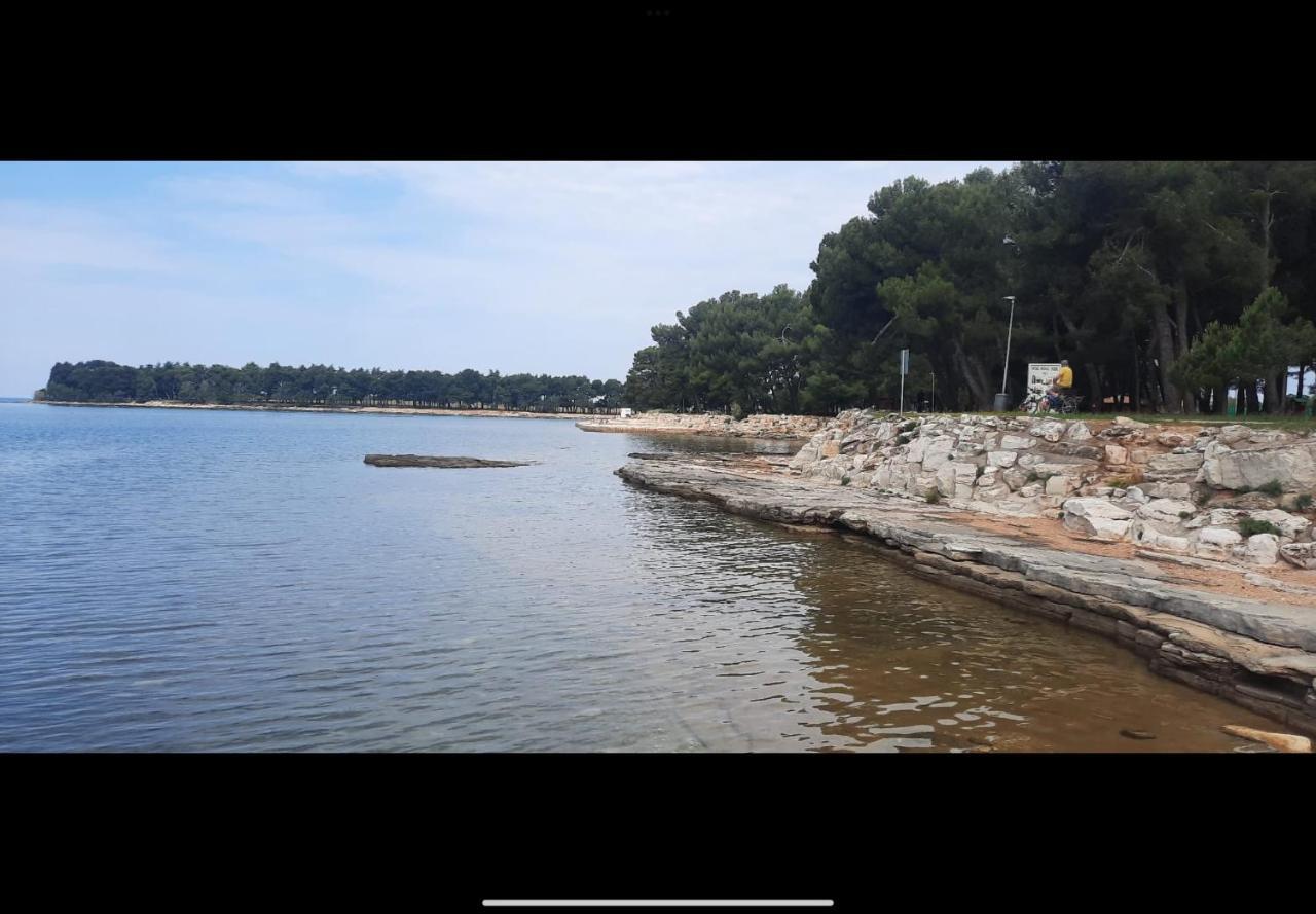 Apartman Sija Novigrad Novigrad Istria エクステリア 写真